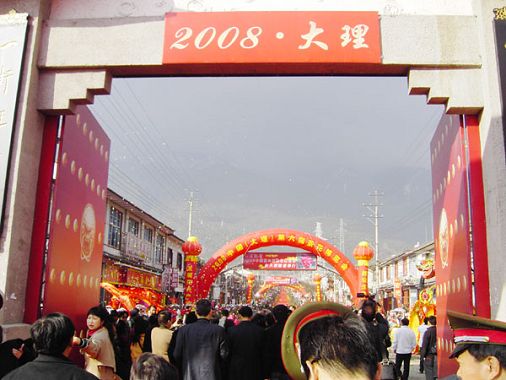 中国第六届茶花博览会在大理开幕