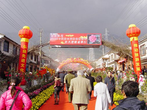 中国第六届茶花博览会在大理开幕