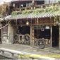 YINHUILAN082411142634734.jpg