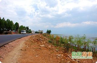 140768_220.jpg