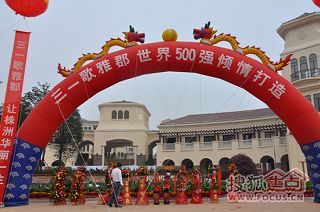 a_65045347.jpg