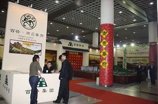 b_65068978.jpg