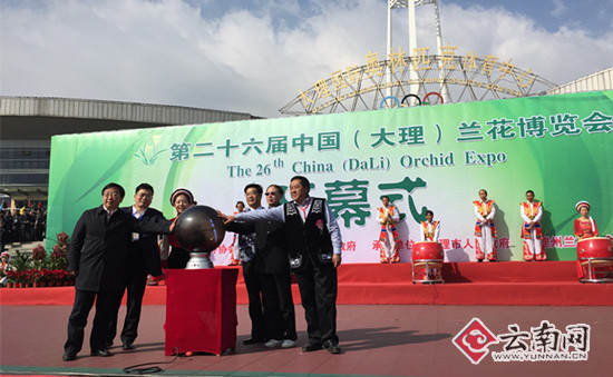 d8cb8a0c6f5b1834177541.jpg