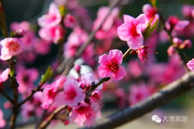2016031101.jpg
