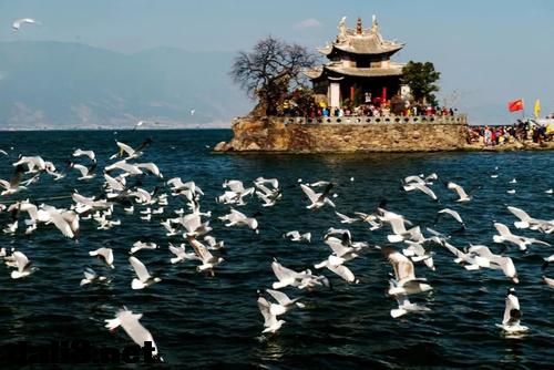 大理白族美景、大理美景、大理美图